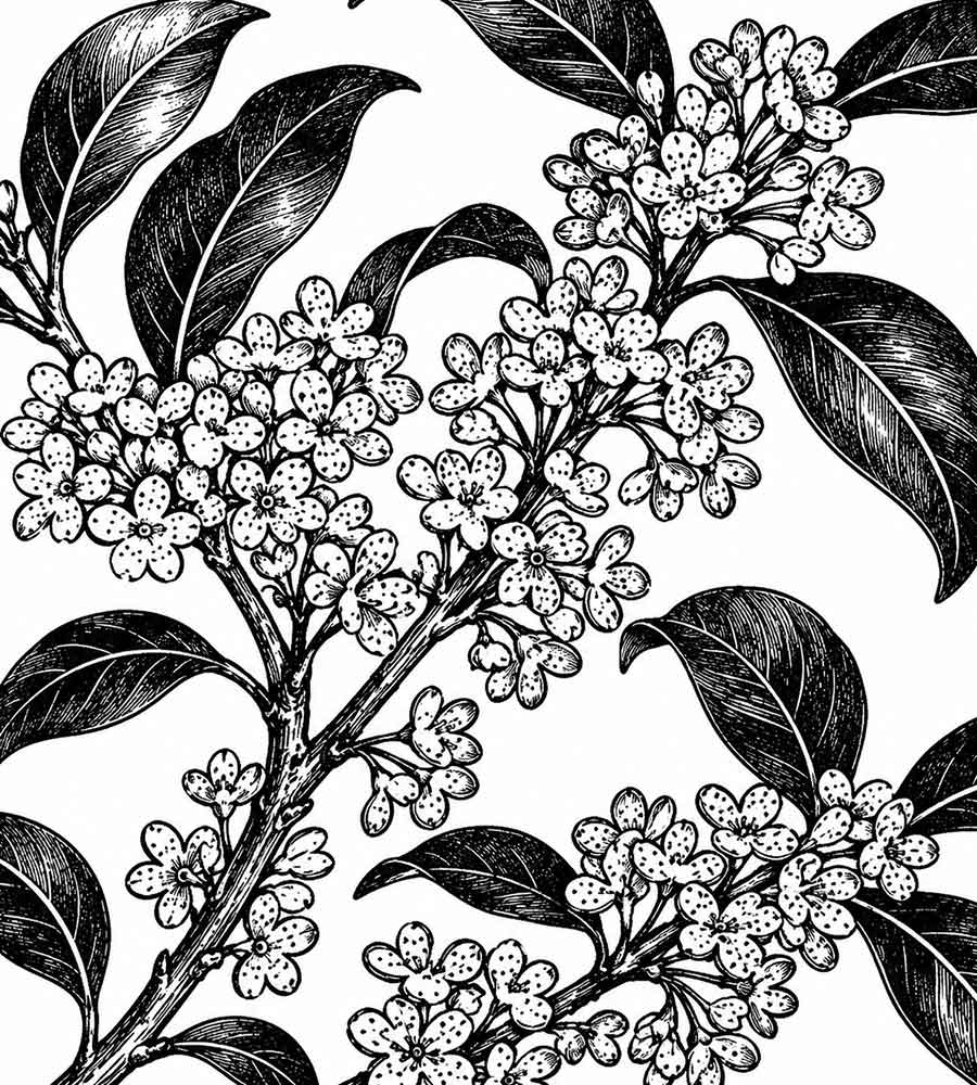 Osmanthus roll-on essential oil scent option for private label